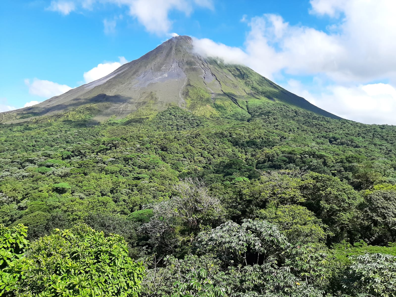 Volcano